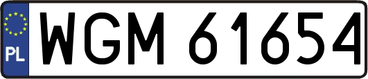 WGM61654