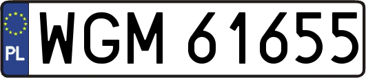 WGM61655