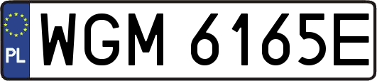 WGM6165E