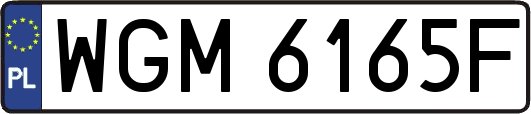 WGM6165F