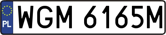 WGM6165M