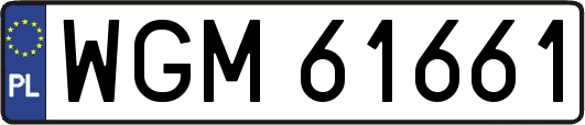 WGM61661
