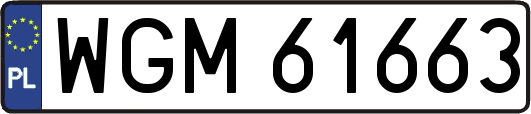 WGM61663