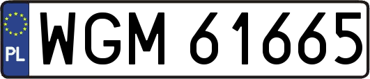 WGM61665