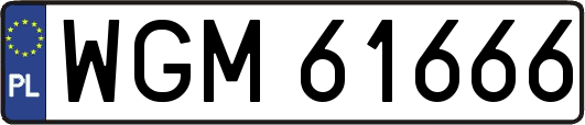 WGM61666
