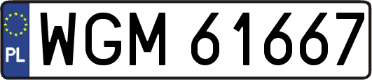 WGM61667