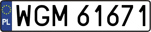 WGM61671