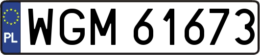WGM61673