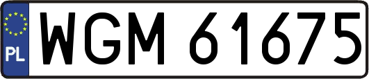 WGM61675