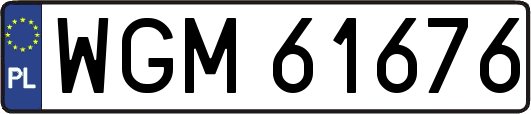 WGM61676