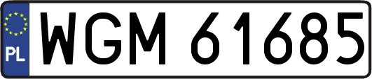 WGM61685
