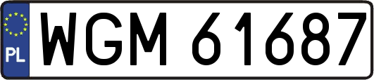 WGM61687