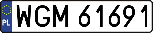 WGM61691
