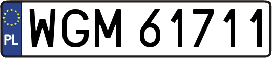 WGM61711