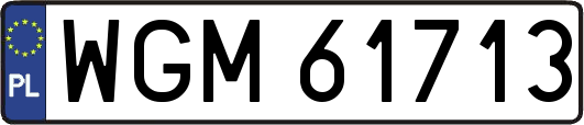 WGM61713