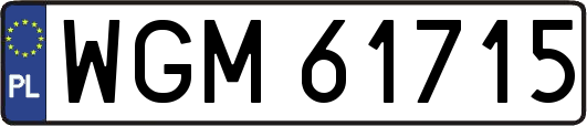 WGM61715