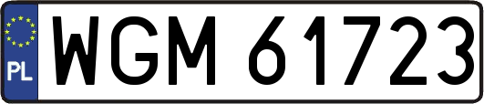 WGM61723