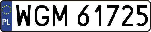 WGM61725