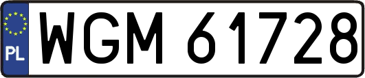 WGM61728