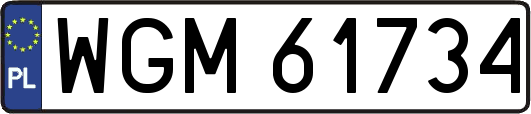 WGM61734