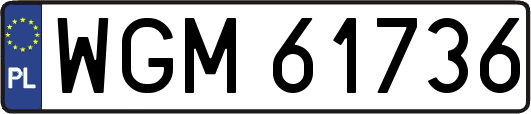 WGM61736