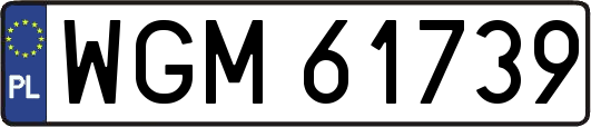 WGM61739