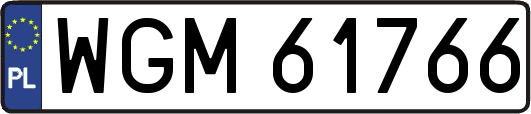 WGM61766