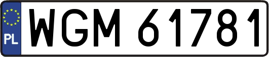 WGM61781