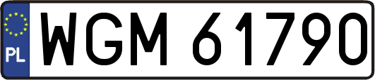 WGM61790