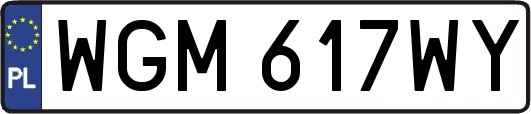 WGM617WY