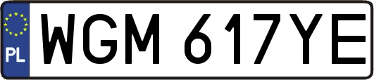 WGM617YE