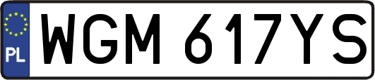 WGM617YS