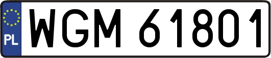 WGM61801