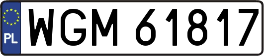 WGM61817