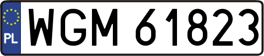 WGM61823