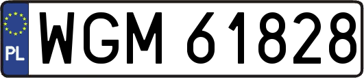 WGM61828