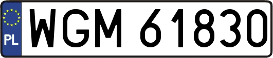 WGM61830