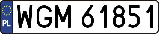 WGM61851