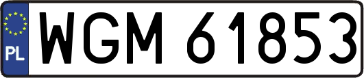 WGM61853