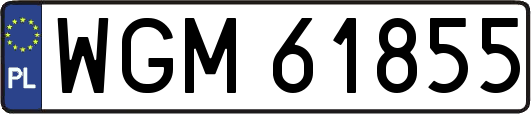 WGM61855