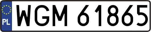 WGM61865