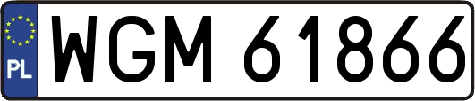 WGM61866