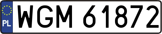 WGM61872