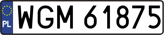 WGM61875