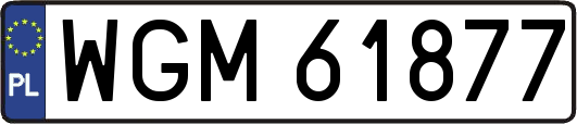 WGM61877