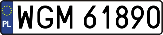WGM61890
