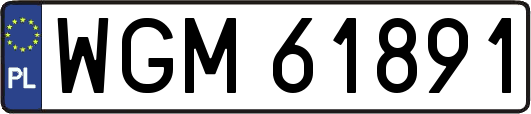 WGM61891