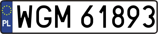 WGM61893