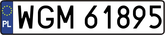 WGM61895