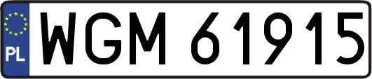 WGM61915